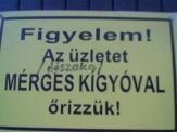 20050103_kigyoval.jpg