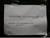 20051226_papagaly.jpg