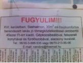 20051231_fugyulim.jpg