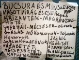 20060102_minszentek.jpg