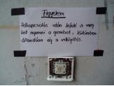 20060112_felle.jpg