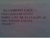 20060117_tampon.jpg