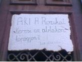 20060122_rozika.jpg