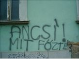 20060127_ancsimitfozte.jpg