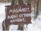20060209_maganut.jpg