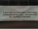 20060213_macska.jpg