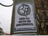 20060308_ketfarku.jpg