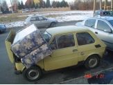 20060308_kispolak.jpg