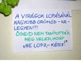 20060308_nelopj.jpg