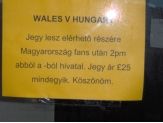20060313_wales.jpg
