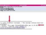 20060315_oriasfile.jpg