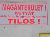 20060318_kutya.jpg