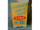 20060321_4ft.jpg