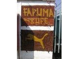 20060321_fapuma.jpg