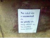 20060330_pisi.jpg