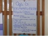 20060403_oglig.jpg