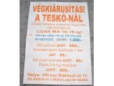 20060408_tesko.jpg