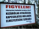 20060412_hulladek.jpg