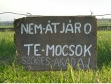 20060512_nematjaro.jpg