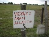 20060706_allatt.jpg