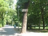 20060717_cw.jpg