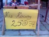 20060814_kiskocsog.jpg
