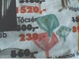 20060820_tocser.jpg