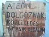 20060822_teto.jpg