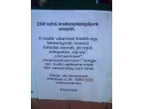 20060827_papagaj.jpg