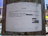 20060831_maroklofegyver.jpg