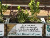 20060920_viraglada.jpg