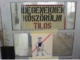 20061021_koszoru.jpg