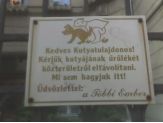 20061022_kutyaszar.jpg