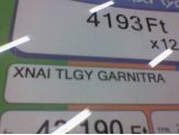 20061022_tlgy.jpg