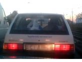 20061121_suzuki.jpg