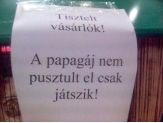 20061219_papagaj.jpg