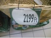 20061230_pisztacia.jpg