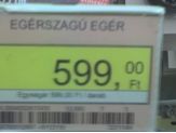 20070115_eger.jpg