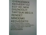 20070123_disznool.jpg
