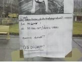 20070129_boxer.jpg