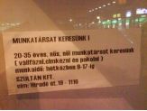 20070223_nos.jpg