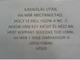 20070224_kakilas.jpg