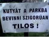 20070426_kutya.jpg