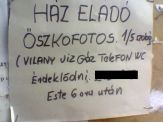 20070508_osszkofotos.jpg