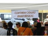 20070521_gyokerek.jpg