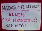 20070530_nyakorv.jpg