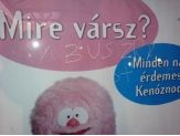 20070617_buszra.jpg