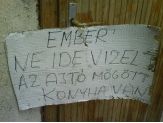 20070720_neide.jpg