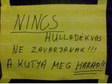 20070802_nincs.jpg