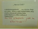 20070828_muveszurfi.jpg